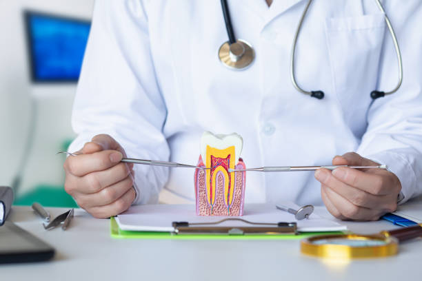Best Emergency Cosmetic Dentistry in Anniston, AL